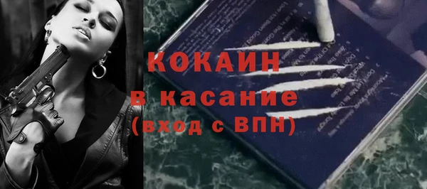 прущие грибы Беломорск