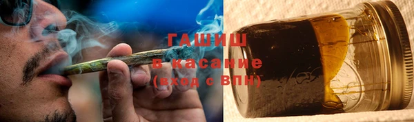 прущие грибы Беломорск