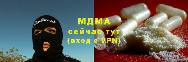 прущие грибы Беломорск