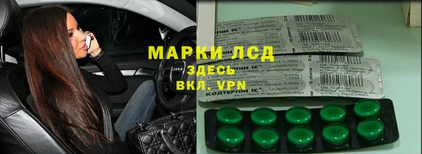 прущие грибы Беломорск