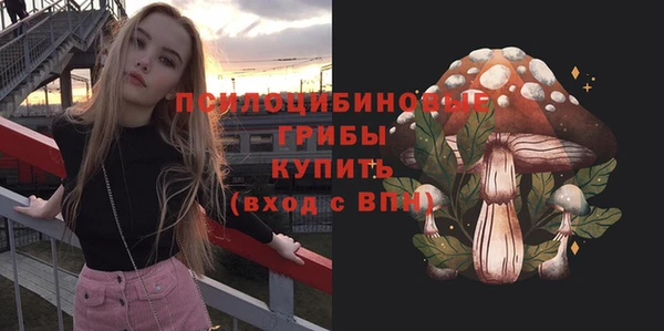 прущие грибы Беломорск