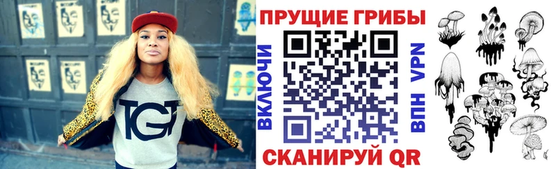 купить  цена  Малая Вишера  Галлюциногенные грибы мухоморы 