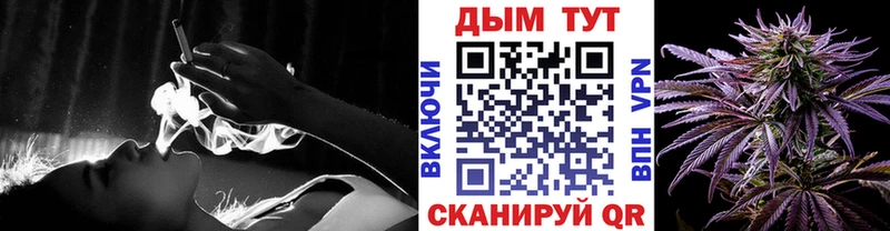 Бошки марихуана план  Малая Вишера 